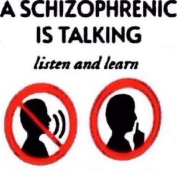 Was Nietzsche a schizophrenic?