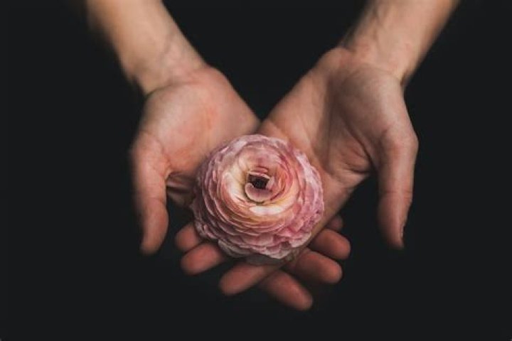 What affects implantation?