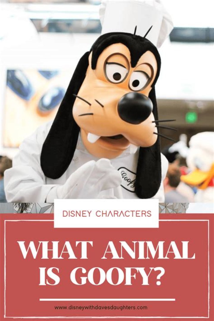 What animal is Goofy Pluto?