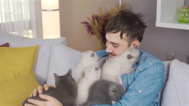 What animal was the old man taking care of?