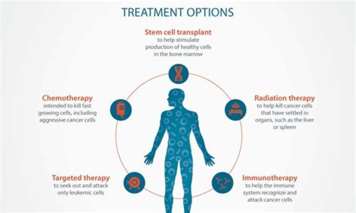 What are 3 treatments of meningitis?