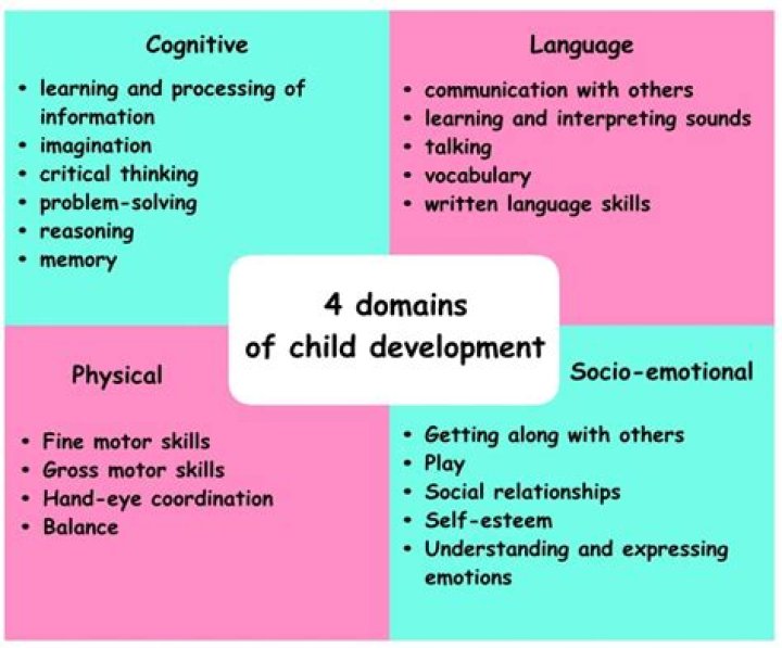 What are 5 developmental characteristics of toddlers?