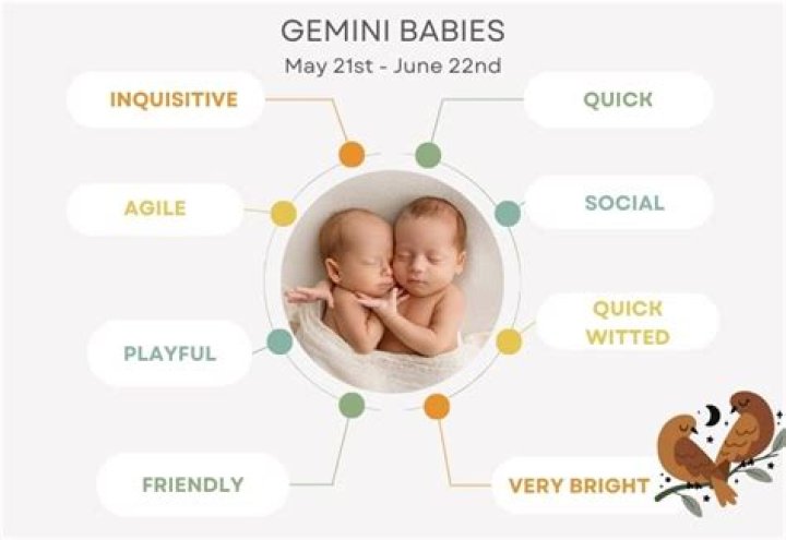What are Gemini babies like?
