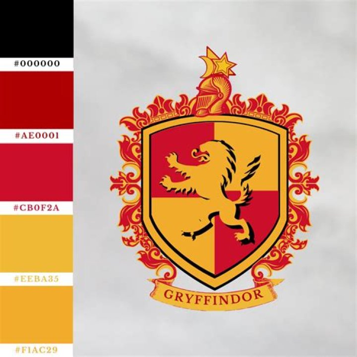 What are Gryffindor colors?