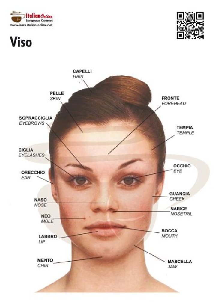 What are Italian features?