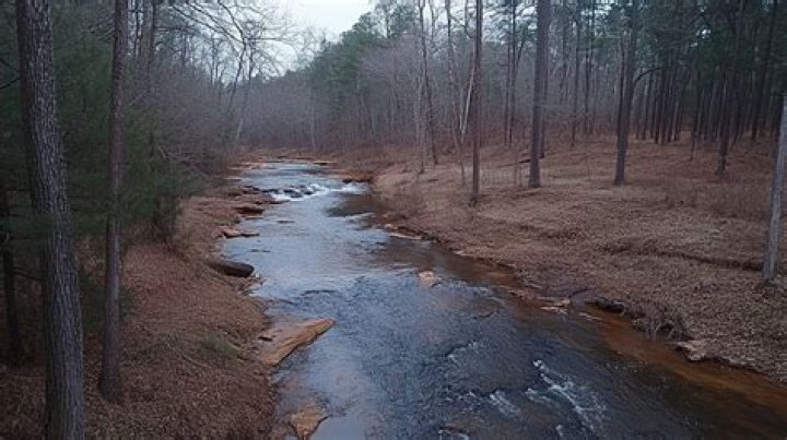 What are signs of gold in a creek?