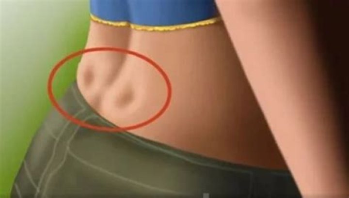 What are the 2 holes on the lower back?