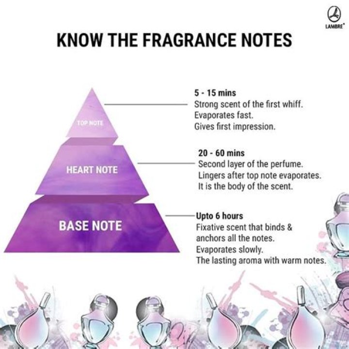 What are the 3 main notes of every fragrance?
