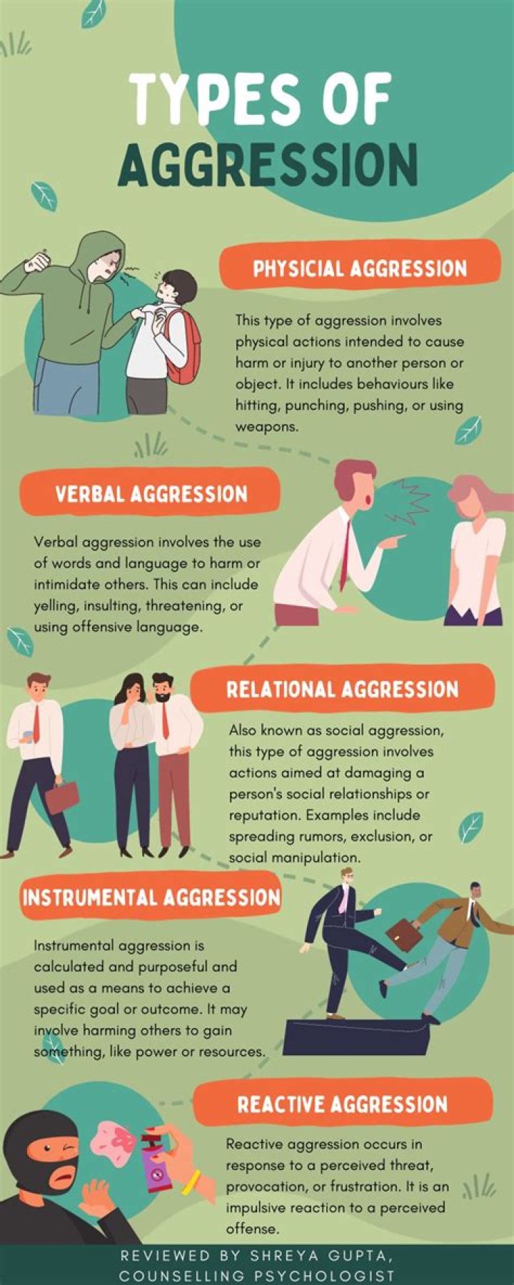 What are the 4 types of aggression?