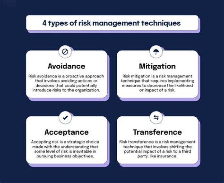 What are the 4 types of risk management?