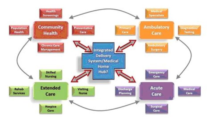 What are the basic components of the healthcare delivery system?
