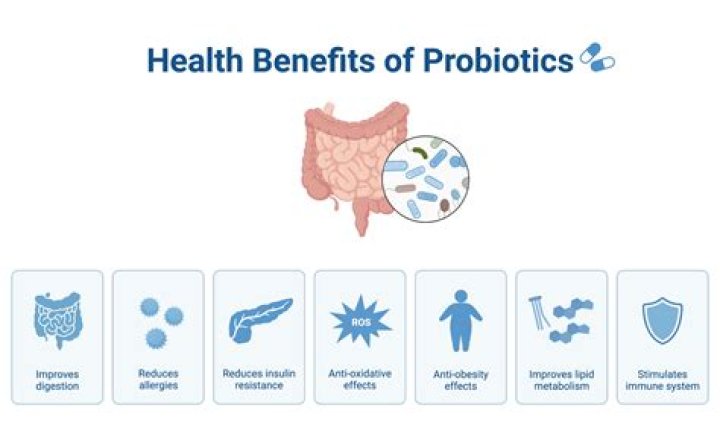 What are the dangers of taking probiotics?