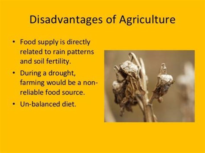 What are the disadvantages of agriculture?