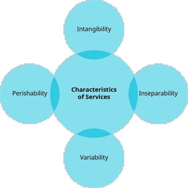 What are the four 4 defining characteristics of services?