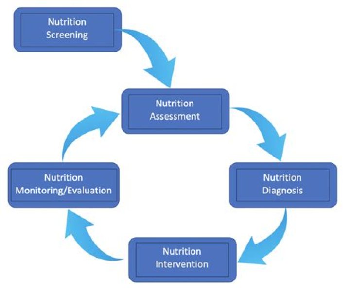 What are the four main steps of the nutrition assessment process?