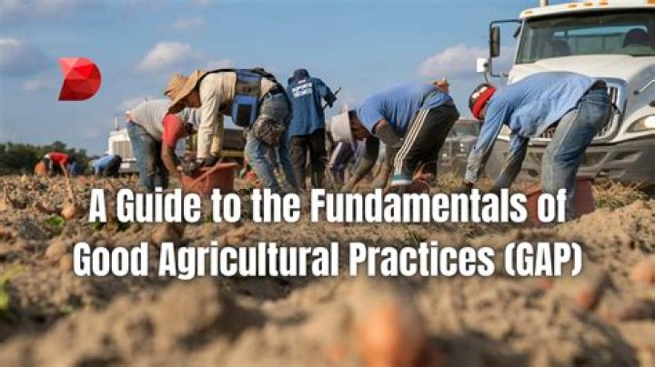 What are the importance of good agricultural practices?