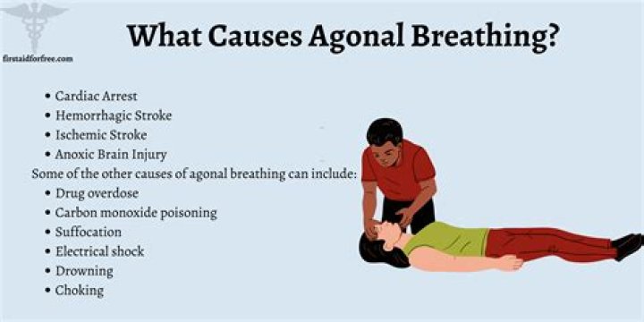 What are the last breaths before death called?