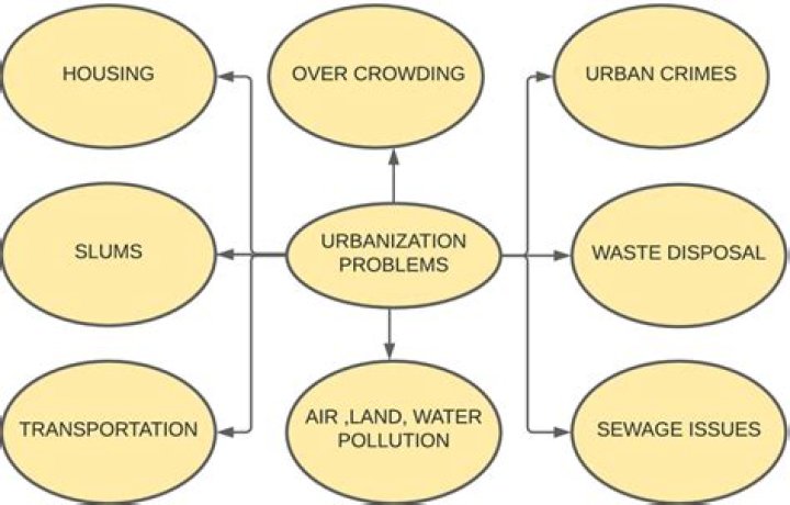 What are the problems caused by urban farmers?