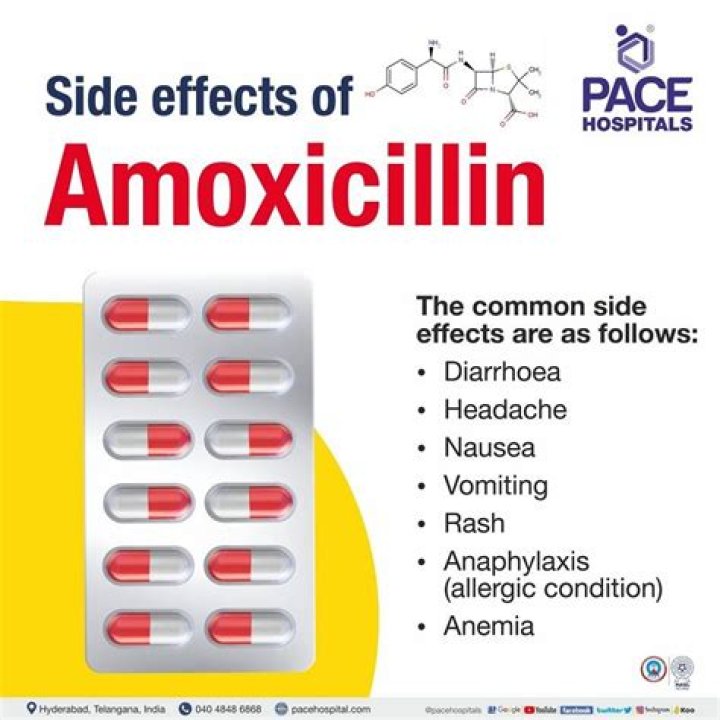 What are the side effects of amoxicillin in adults?