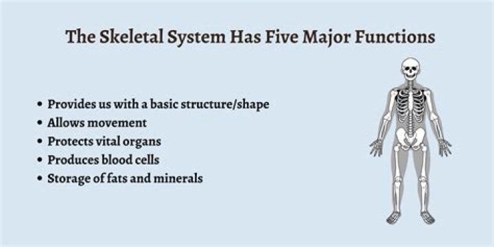 What are the two important functions of recombination?