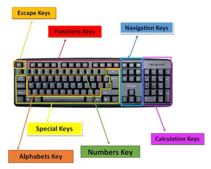 What are the types of keys on the keyboard?