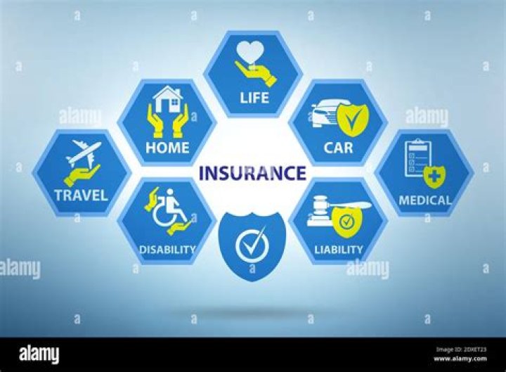 What are three kinds of insurance you should have?