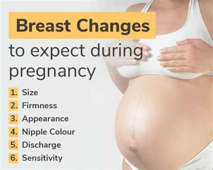 What areolas look like in early pregnancy?