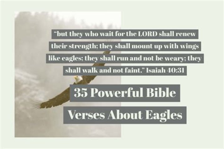 What Bible verse is on eagles wings?