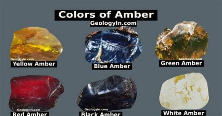 What can be found in amber?