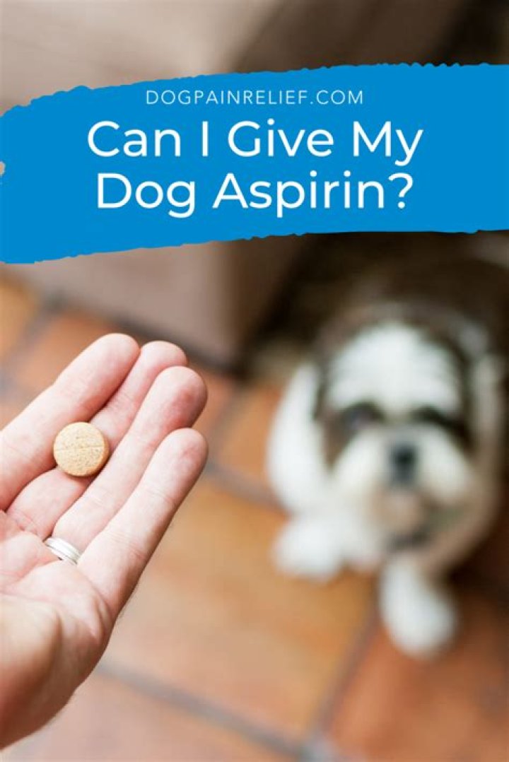 What can I give my dog for heartburn?