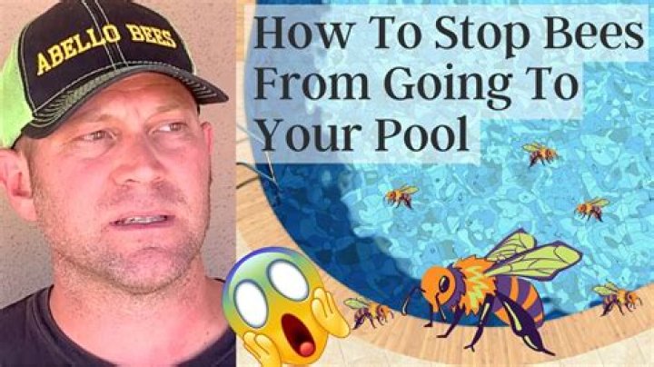 What can I put in my pool to stop bees from drowning?