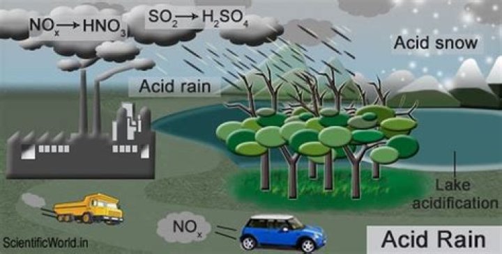 What causes acid rain?