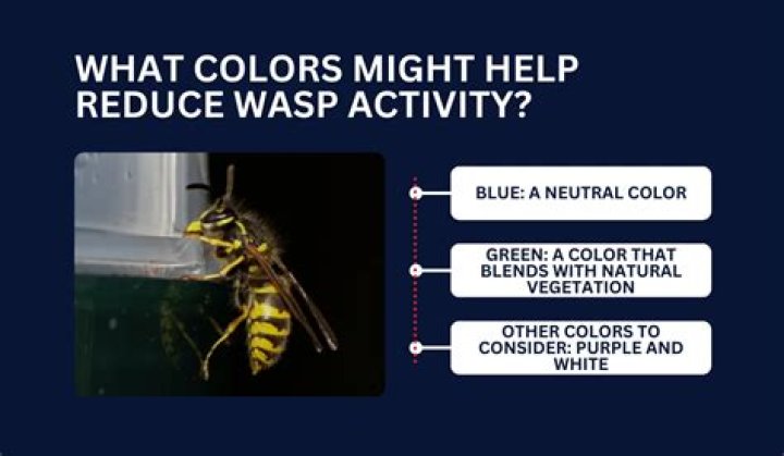 What color keeps wasps away?