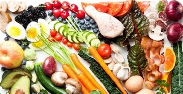 What did our ancestors eat?