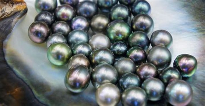 What do black pearls look like?