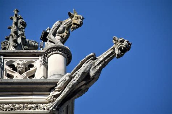 What do gargoyles eat?