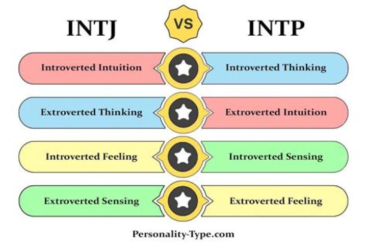 What do INTPs want out of life?
