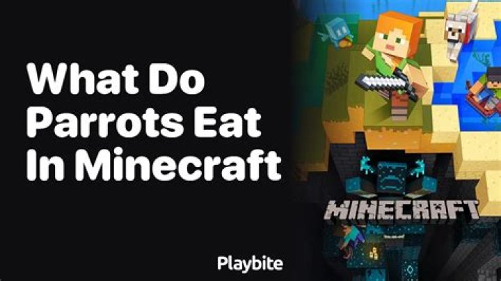 What do parrots eat in Minecraft?