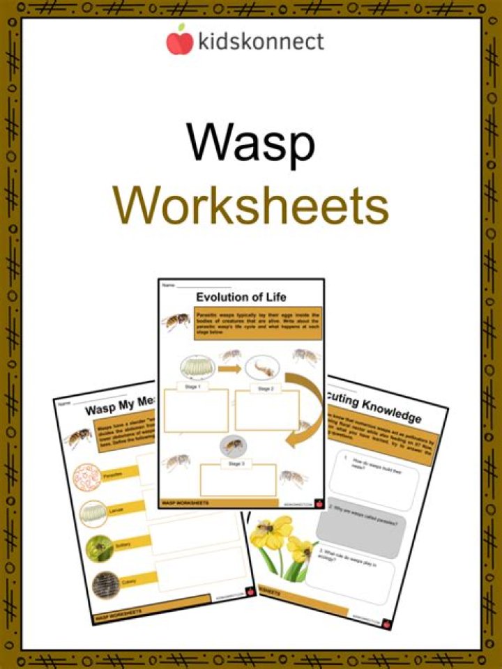 What do wasps eat kids?