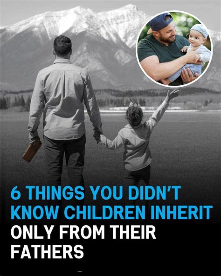 What do you inherit from your father?