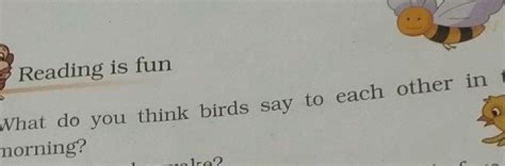 What do you think birds say to each other in the morning?
