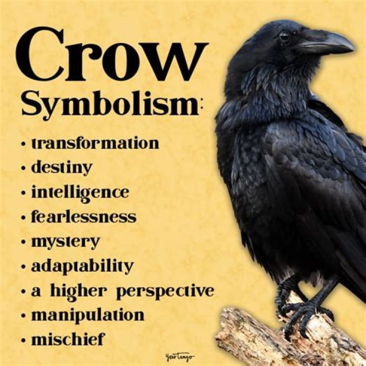 What does a crow symbolize in Christianity?