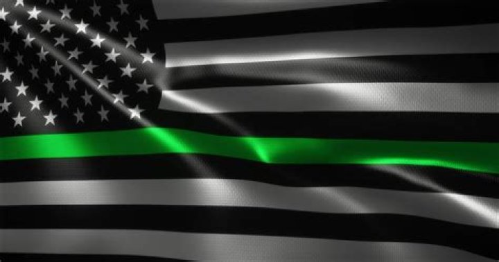 What does a flag with a green stripe mean?