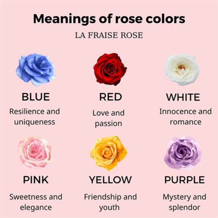 What does a rose mean on a medal?