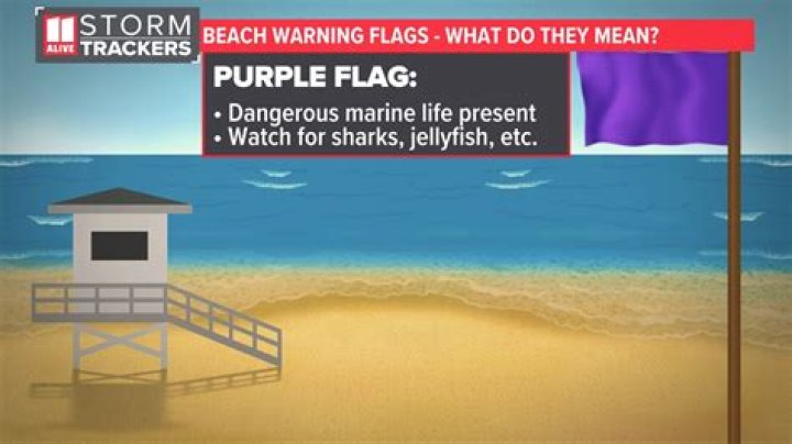 What does an orange flag mean at the beach?