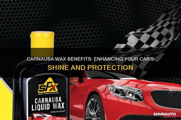 What does carnauba wax do?