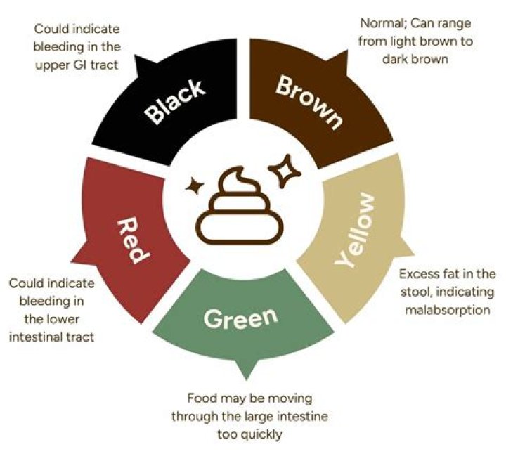 What does dark brown poop mean?
