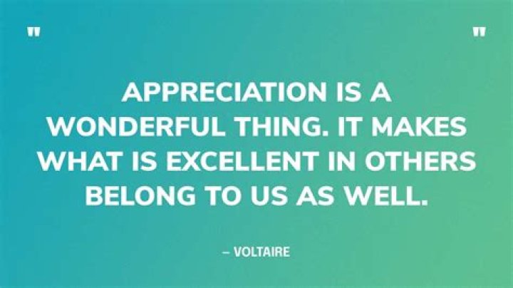 What does I appreciate your efforts mean?