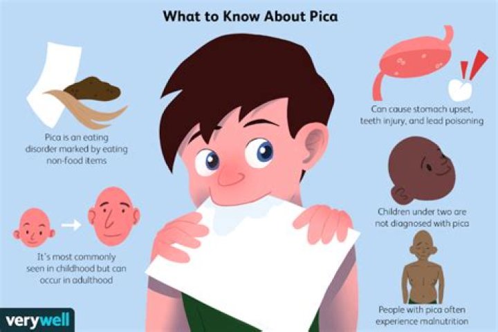 What does pica stand for in medical terms?