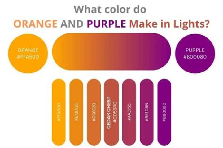 What does purple and orange make?